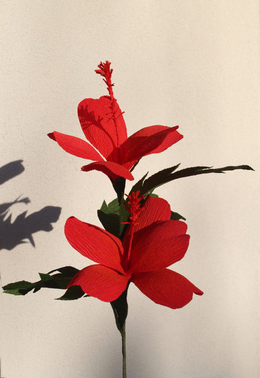 Paire d'hibiscus