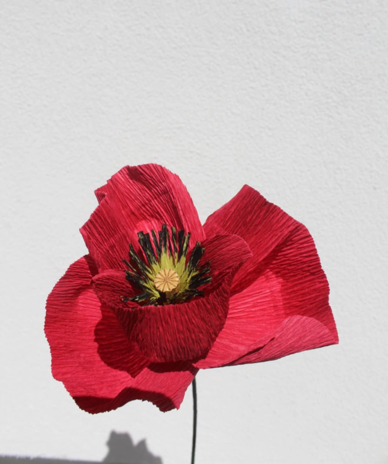 Coquelicot