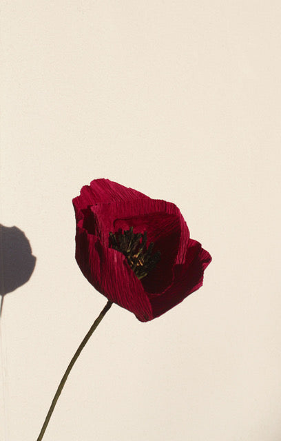 Coquelicot